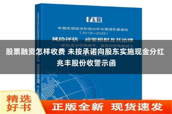 股票融资怎样收费 未按承诺向股东实施现金分红 兆丰股份收警示函