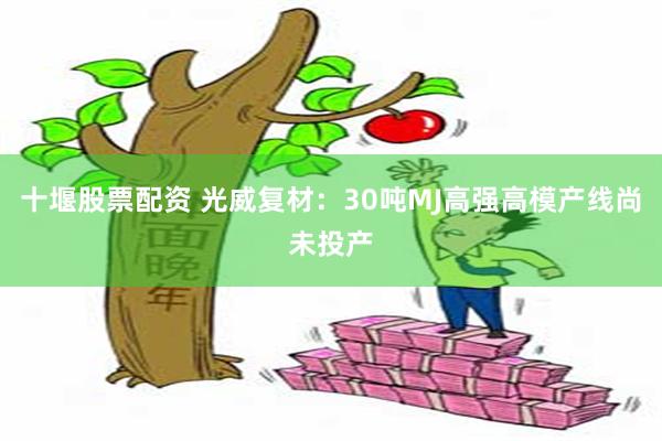 十堰股票配资 光威复材：30吨MJ高强高模产线尚未投产