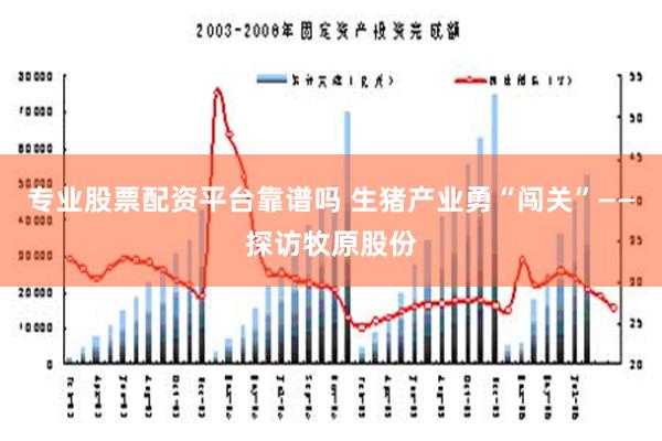 专业股票配资平台靠谱吗 生猪产业勇“闯关”——探访牧原股份