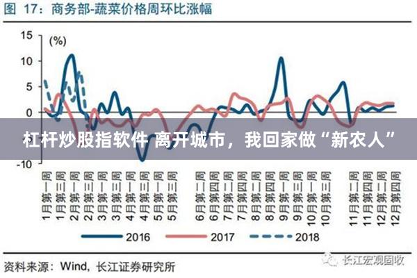 杠杆炒股指软件 离开城市，我回家做“新农人”