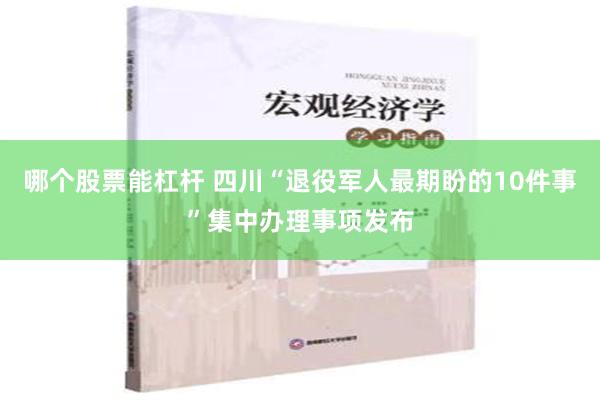 哪个股票能杠杆 四川“退役军人最期盼的10件事”集中办理事项发布