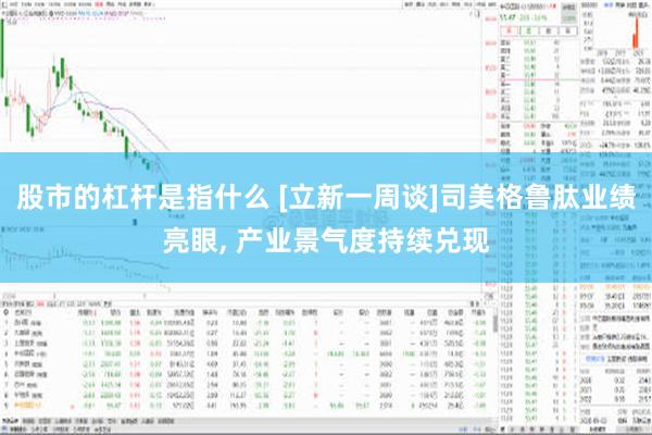 股市的杠杆是指什么 [立新一周谈]司美格鲁肽业绩亮眼, 产业景气度持续兑现