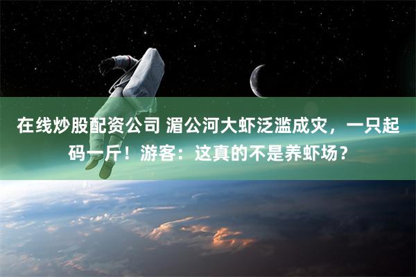 在线炒股配资公司 湄公河大虾泛滥成灾，一只起码一斤！游客：这真的不是养虾场？