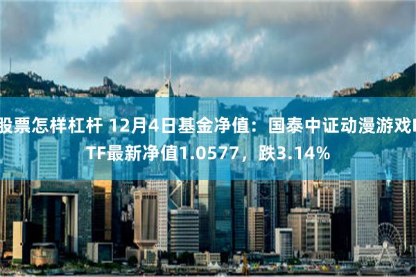 股票怎样杠杆 12月4日基金净值：国泰中证动漫游戏ETF最新净值1.0577，跌3.14%