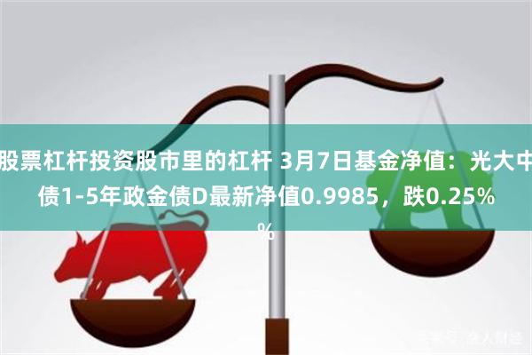 股票杠杆投资股市里的杠杆 3月7日基金净值：光大中债1-5年政金债D最新净值0.9985，跌0.25%